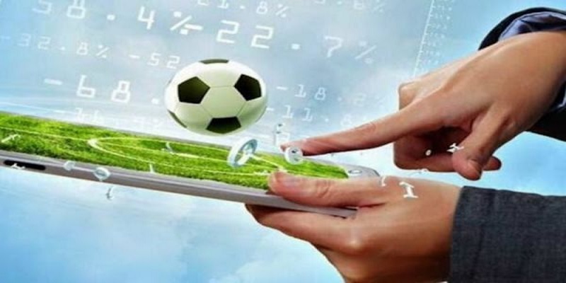 Bật mí trách nhiệm nhà cái